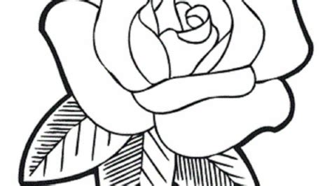 drawings  roses    clipartmag
