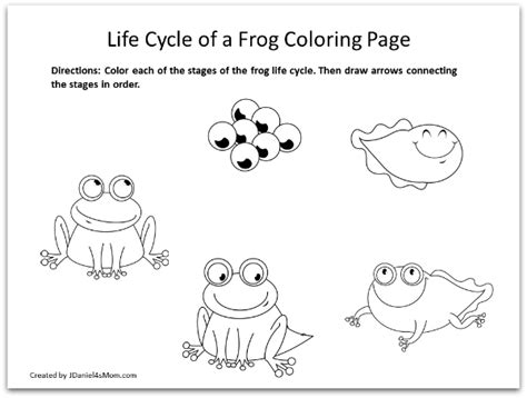 frog coloring pages  learning activities