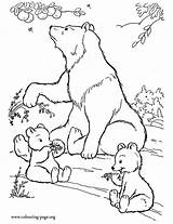 Bear Coloring Pages Cubs Polar Printable Kids Sheets Print Visit Fruits Eating Mother sketch template