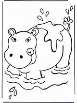 Hippopotamus Baby Hippo Visit Pages sketch template