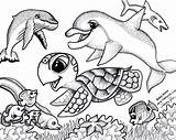 Coloring Pages Baby Animal Cute Animals Turtle Sea Printable Sheets Print Kids Ocean Buyer Guide Reviews Drawing sketch template