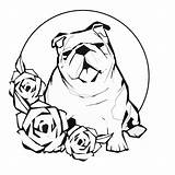 Bulldog Bulldogs Bestcoloringpagesforkids sketch template