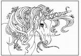 Unicorn Coloring Pages Adult Girls Unicorns Flowers Printable Frank Lisa Digital Etsy Easy Template Fantasy Animal Family Garden Source Visit sketch template