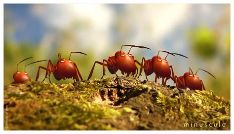 minuscule  vallex   lost ants urania nemzeti filmszinhaz