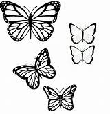 Butterfly Outline Tattoo Monarch Butterflies Clipart Outlines Tattoos Drawing Coloring Line Small Simple Designs Template Pages Doodle Pattern Drawings Library sketch template