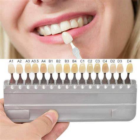 creazybee  set  colors  teeth whitening shade guide porcelain