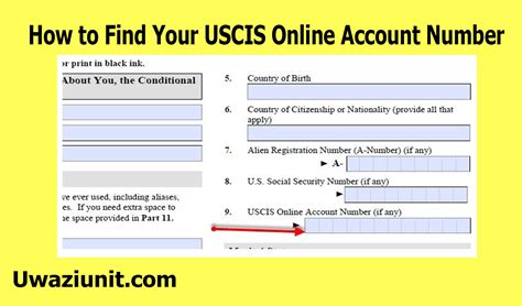 uscis account number   sign   login  uscis