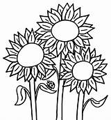 Sunflower Coloring Clipart Pages Printable Library sketch template