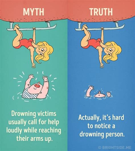 Myth Vs Truth Author Love