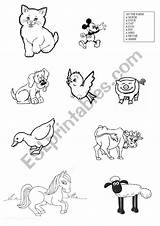 Animals Coloring Farm Matching Worksheet Preview Worksheets sketch template