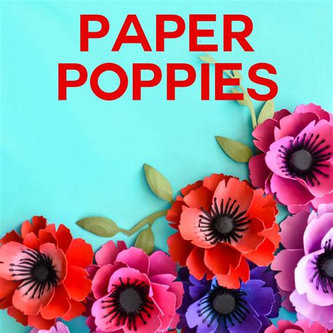paper poppies   templates jennifer maker