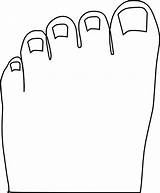 Toes Clipart Toe Clip Toenail Big Cliparts Nail Vector Foot 20clipart Clipground Library Clker Large Cutter sketch template