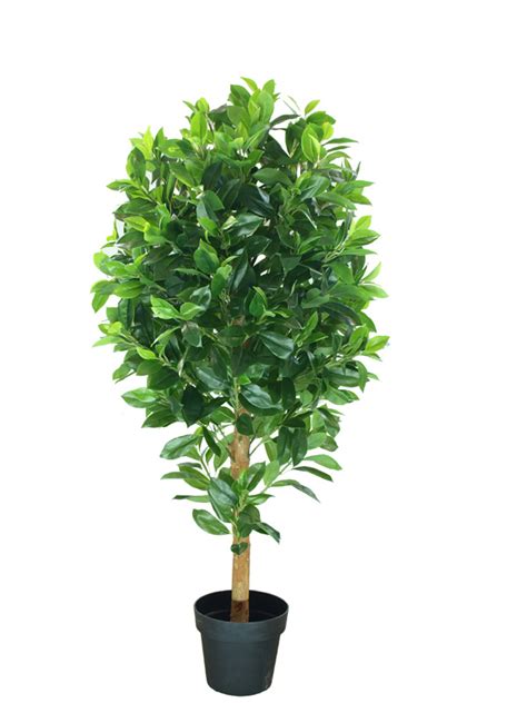 artificial fortune tree china fortunetree  artificial plant price