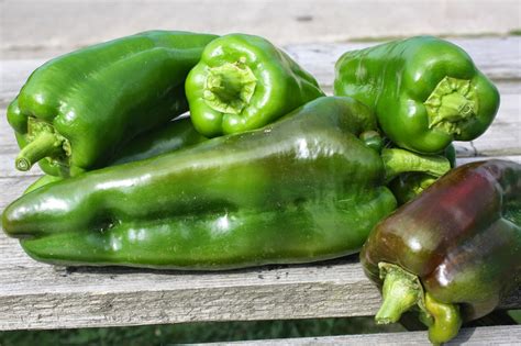 bosavern community farm peppers
