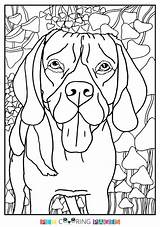 Beagle Coloring Pages Rottweiler Easter Getcolorings Getdrawings sketch template