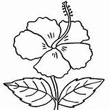 Coloring Pages Flower Hibiscus Bunga Outline Embroidery Raya Patterns Hand sketch template