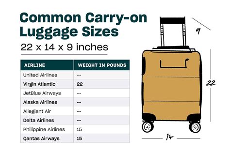 carry  luggage size guide  airline