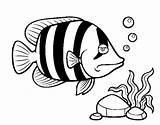 Angelfish Coloring Coloringcrew sketch template