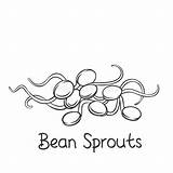 Sprouts Bean Outline Soybean Seedlings Mung sketch template