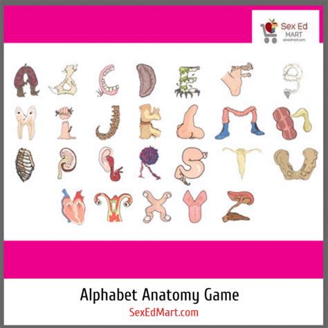 Alphabet Anatomy Game – Activity Kit Download Or Hard Copy