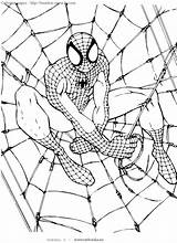 Spider Man Pages Color Timeless Miracle sketch template