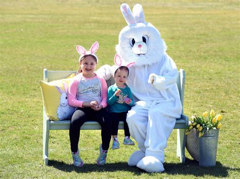 easter bunny  connecticut