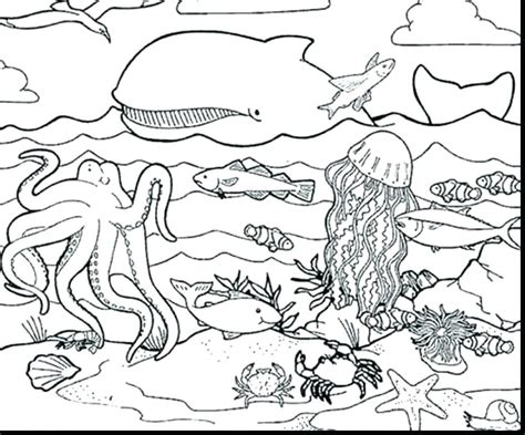 sea creatures coloring pages  getdrawings
