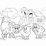 Coloring Farm Sheep Surfnetkids Pages sketch template