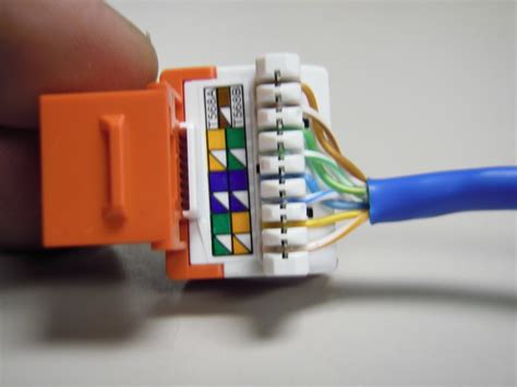 cat  socket wiring diagram