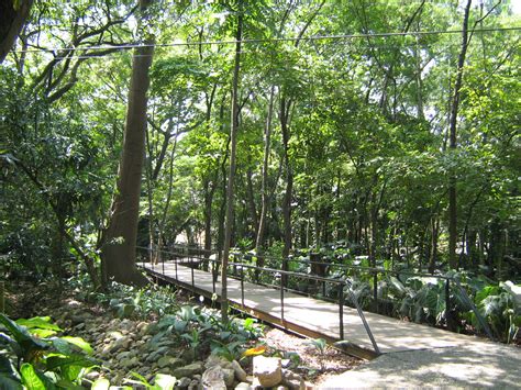 filejardin botanico de medellin bosque tropical jpg wikimedia
