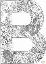 Coloring Letter Pages Letters Adult Printable Alphabet Nature Supercoloring Plants Color Clipart Colouring English Hard Sheets Choose Board Book Crafts sketch template