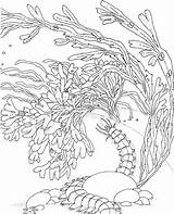 Reef Coloring Pages Barrier Great Coral Sea Drawing Seascape Ocean Color Printable Line Sponge Getdrawings Getcolorings Popular Library Clipart Coloringhome sketch template