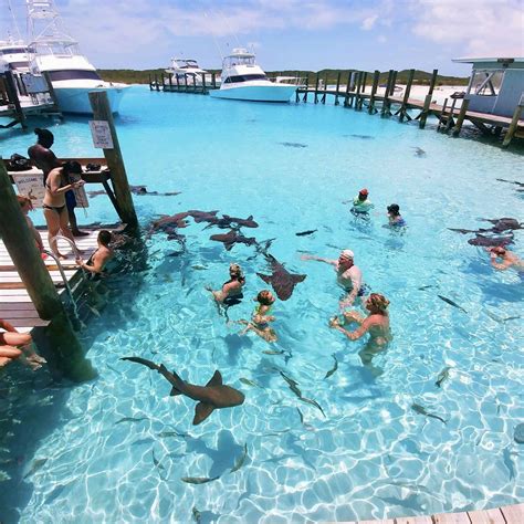 exuma islands   bahamas dianas healthy living