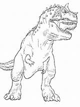 Carnotaurus Coloring Clipart Library Codes Insertion sketch template