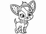 Chihuahua Coloring Pages Puppy Pomeranian Dog Cute Printable Strawberry Drawing Shortcake Para Color Pintar Print Sheets Kids Getcolorings Getdrawings Colorear sketch template