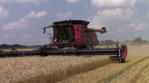 case ih  axial flow combines  tracks harvesting wheat youtube