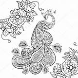Coloring Pages Stress Peacock Zentangle Anti Totem Adult Printable Vector Paisley Illustration Flowersfor Sketch Drawing Doodle Therapy Flowers Stock Tattoo sketch template