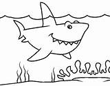 Shark Coloringcrew sketch template