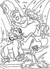 Coloring Matata Hakuna Pages Getcolorings Lion sketch template