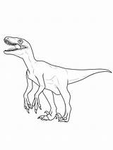 Dinosaurier Jurassic Velociraptor Raptor Blue Coloring Pages Malvorlage Ausmalbilder Kostenlose Kleurplaten Und Malen Indominus Steinzeit Easy Drawing Dinosaur Dinos Rex sketch template