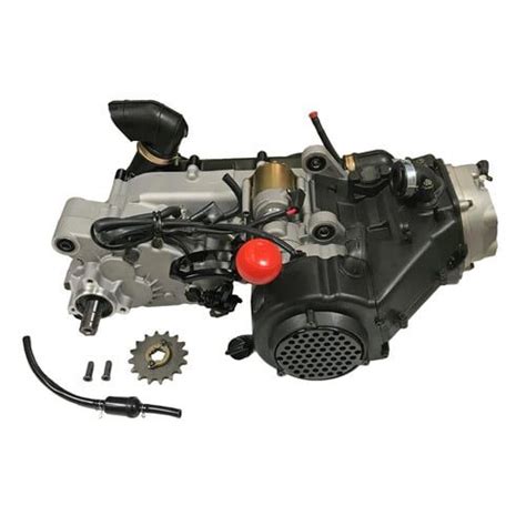 cc  stroke engine automatic transmission engine  reverse coolster