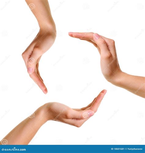circle   hands isolated stock image image