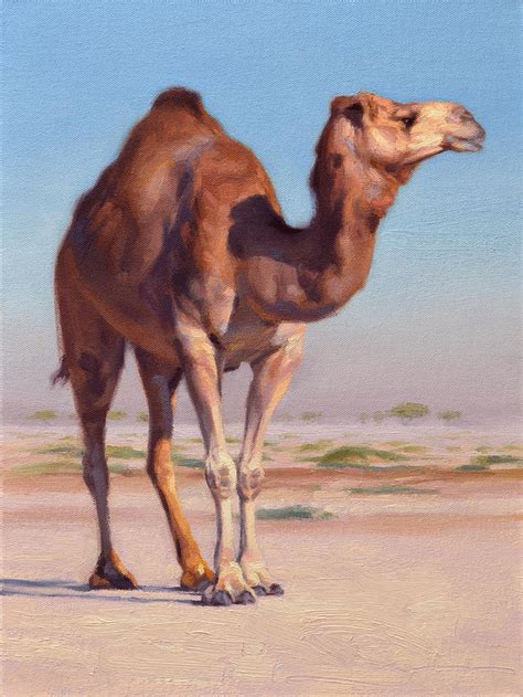 wilderness camel painting  ben hubbard fine art america