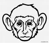 Monkey Coloring Affe Affen Gesicht Cool2bkids sketch template