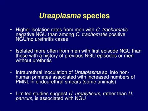 Ppt Urethral Discharge And Local Sti Complications In Men Powerpoint