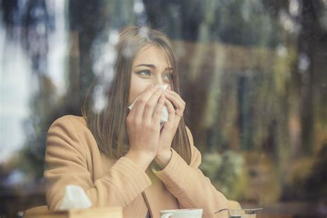allergischer schnupfen das solltest du wissen brigittede