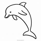 Dolphin Delfino Lumba Delfini Delfin Delfines Monochrome Mammal Animali Scaricare Ultracoloringpages sketch template