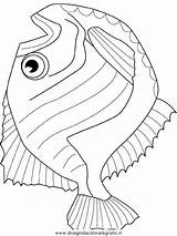 Hatchet Fische Poisson Pesci Pesce Verschiedene Animali Disegno Malvorlage Kategorien sketch template