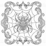 Zentangle Spinne Spin Farbtonseite Symmetrical Kleurende Spinnen Geeksvgs Vektorgrafik Istockphoto Ausmalbilder sketch template