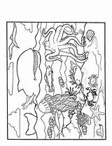 Zeedieren Ausmalbilder Dieren Marins Mewarnai Hewan Binatang Seetiere Colorare Laut Animasi Malvorlagen Animierte Vissen Bergerak Printable Marini Animali Malvorlage Animaatjes sketch template